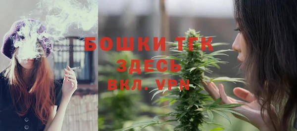 дживик Баксан