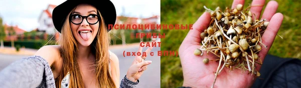дживик Баксан
