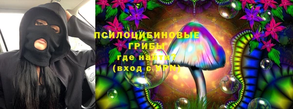 дживик Баксан